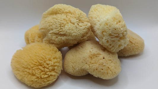 Caribbean Silk Facial Sponge