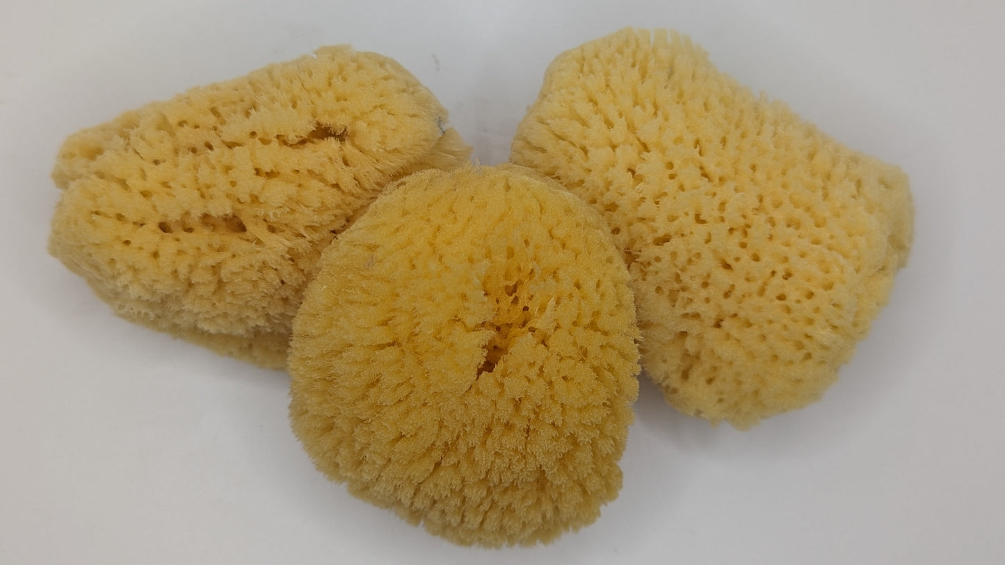 Caribbean Silk Facial Sponge