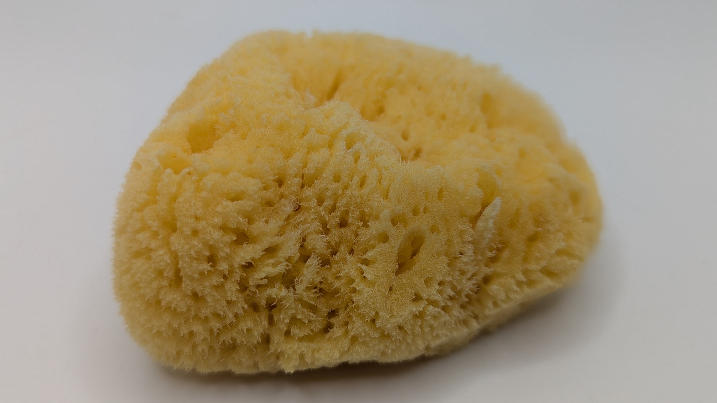 Bath Combo Set - Yellow Sea Body Sponge and Caribbean Facial Sponge