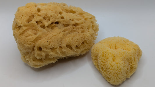 Bath Combo Set - Yellow Sea Body Sponge and Caribbean Facial Sponge